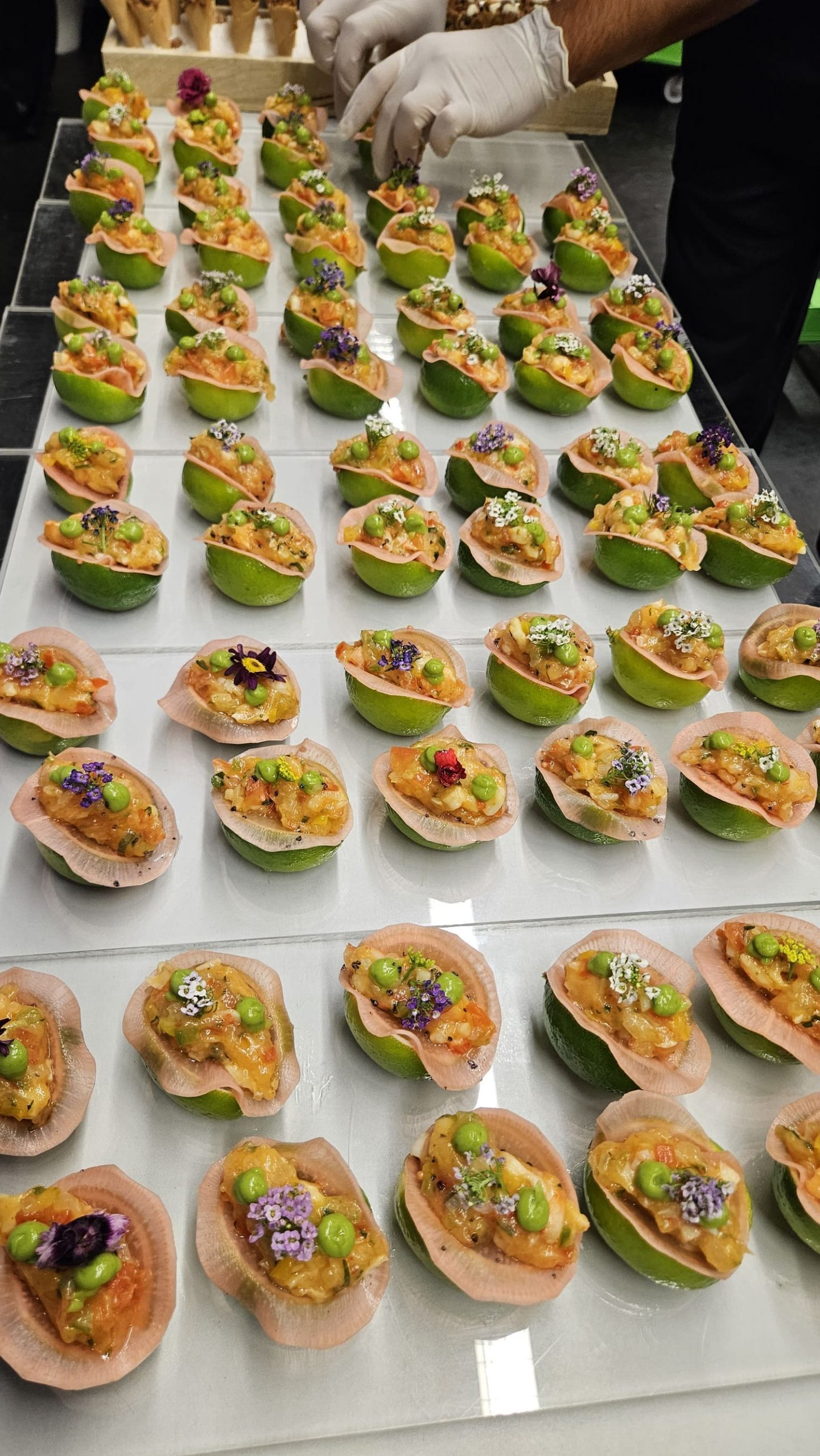 Wempe Schuler Catering